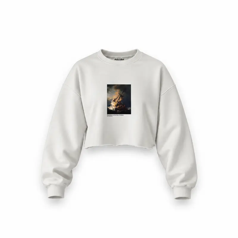 The Storm on the Sea of Galilee Oversize Crop Sweatshirt