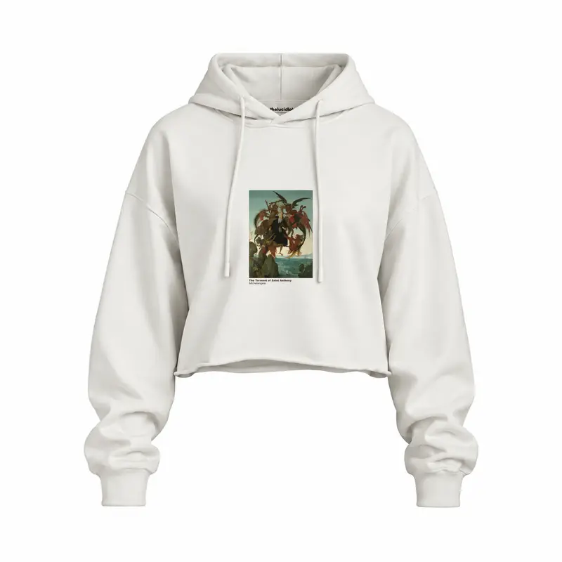 The Torment of Saint Anthony Oversize Crop Hoodie
