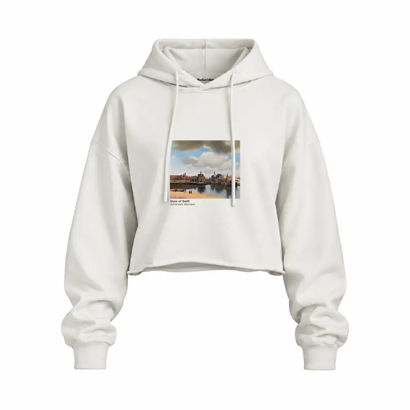 View of Delft Oversize Crop Hoodie