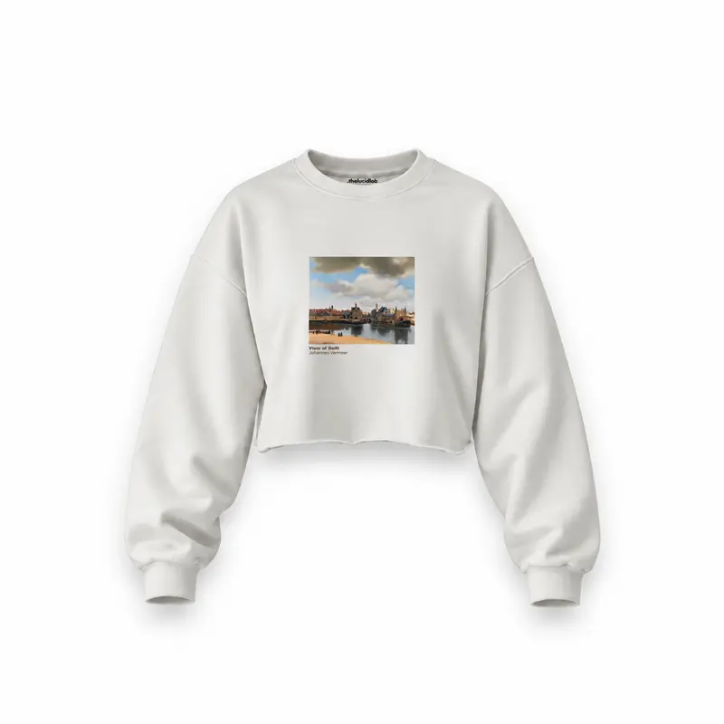 View of Delft Oversize Crop Sweatshirt