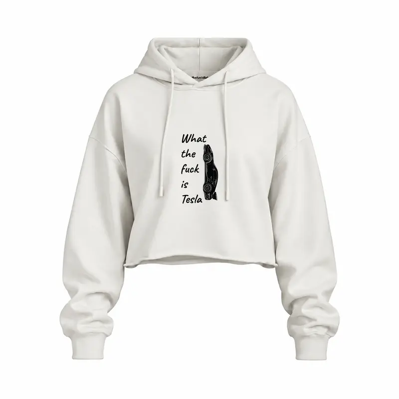 What The Fuck Is Tesla Oversize Crop Hoodie