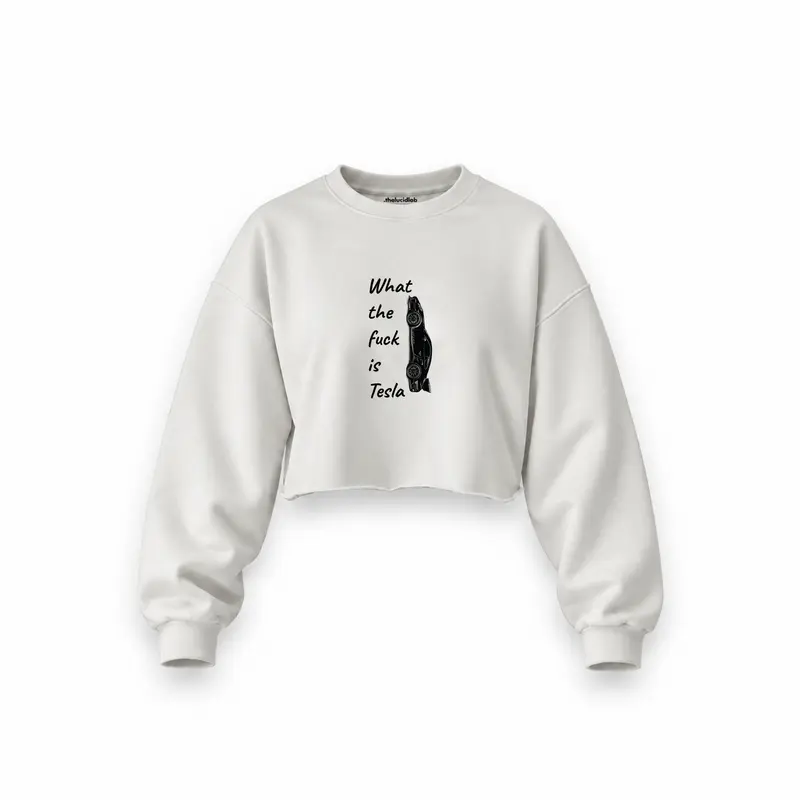 What The Fuck Is Tesla Oversize Crop Sweatshirt
