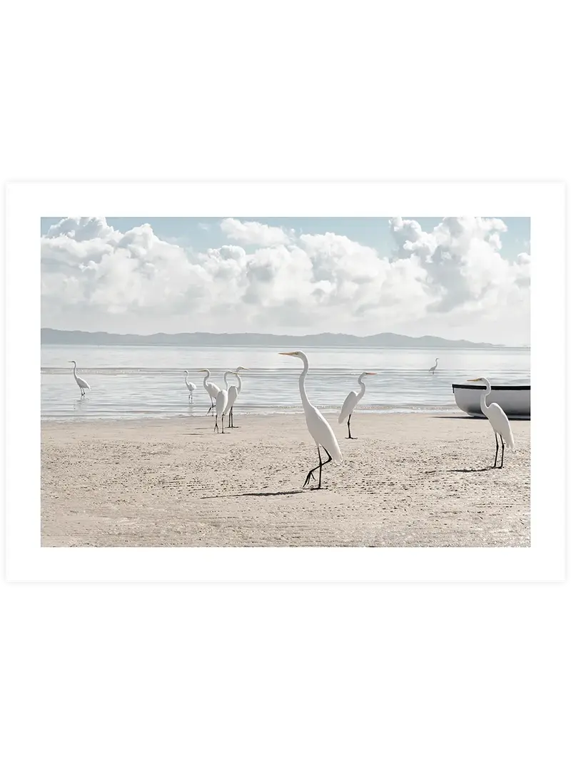 White Herons – Art Print